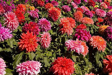 恐怖更上一层楼 《死亡空间》原版第一人称MOD发布