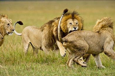 《机甲战魔：神话之裔》Demo上线！支持存档数据转移